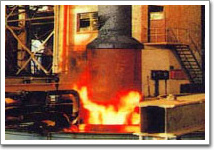 ȫ�w�S��t